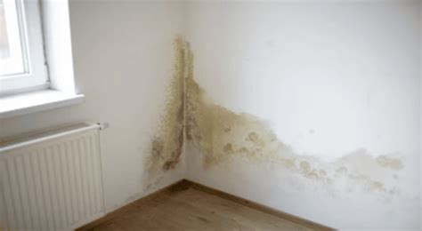 Intérieur d'une maison avec des signes d'humidité