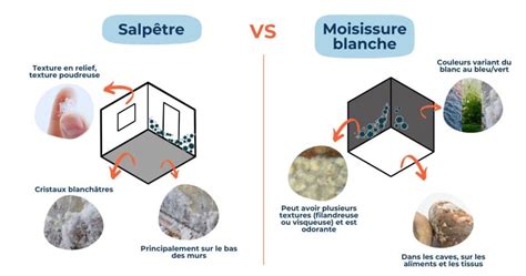 Schéma montrant la relation entre humidité, moisissures et santé