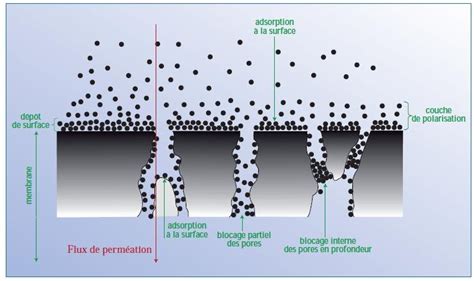Infographie sur les causes de colmatage dans un système de sablage