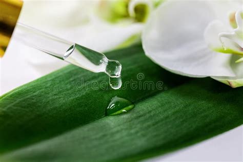gouttes d'huile essentielle tombant sur un filtre