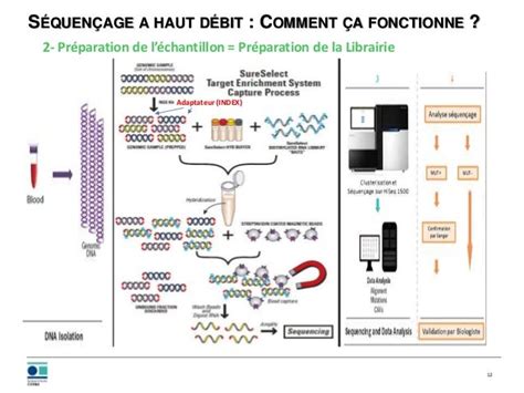 Tableau comparatif des technologies de séquençage haut débit