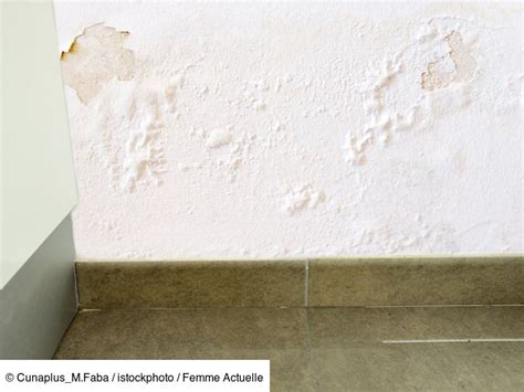 Traces d'humidité au bas d'un mur