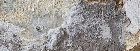 Salpêtre sur un mur