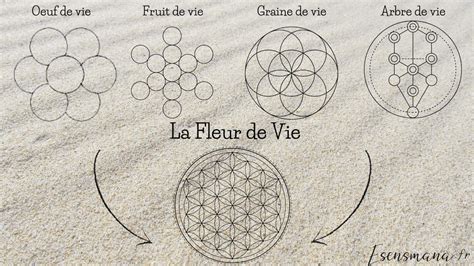 Symbole de fleur de vie