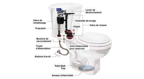 Schéma illustrant les différentes causes d'un bouchon dans les toilettes