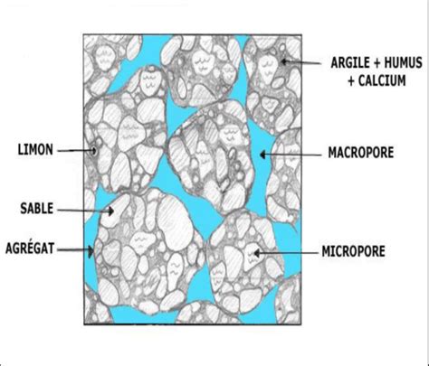 Structure du sol grumeleuse