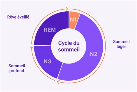 Diagramme illustrant le cycle énergétique d'un chat : alimentation, sommeil, activité