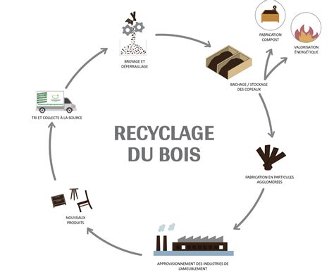 Illustration schématique du cycle de vie des granulés de bois