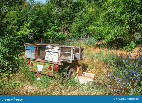 Apiculteur chargeant des ruches sur une remorque