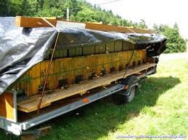 Camion plateau ouvert transportant des ruches, couvert d'un filet de transhumance