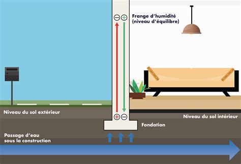 Infographie comparant les signes de condensation, d'infiltration et de remontées capillaires