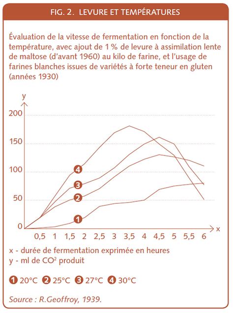 Schéma illustrant l'influence de la température et de l'humidité sur la fermentation de la pâte