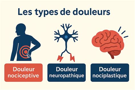 Infographie illustrant les différents types de douleurs soulagées par l'Advil Caps