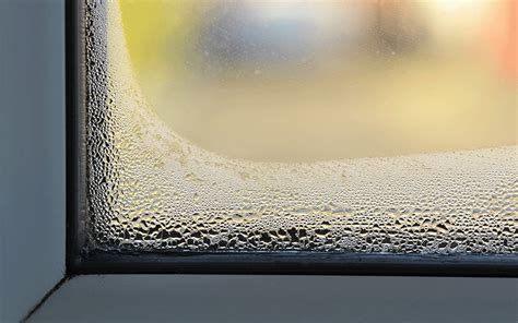 Illustration de la condensation sur une fenêtre en hiver
