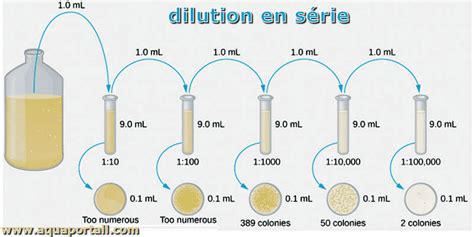 Schéma des dilutions homéopathiques