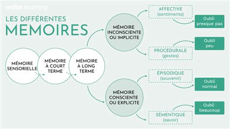 Schéma illustrant les différentes formes de détérioration dues à l'humidité