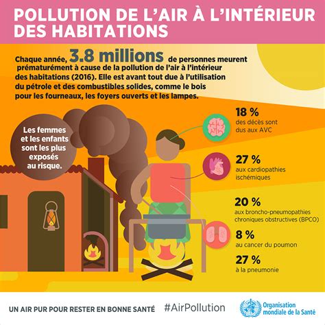 Infographie sur les polluants de l'air intérieur et leurs sources
