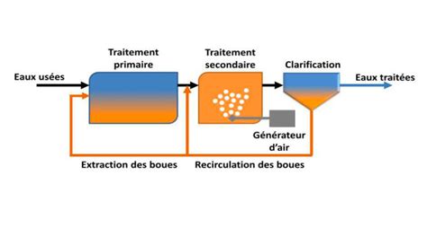 Schéma d'une micro-station d'épuration avec zones de plantation recommandées