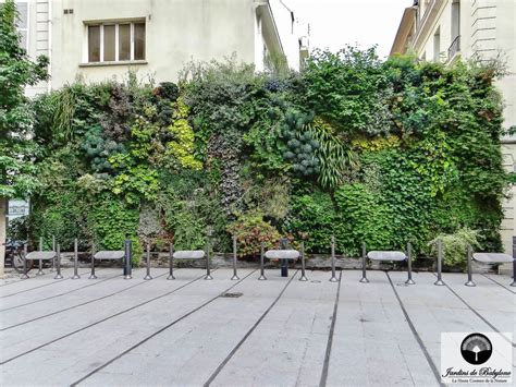 Micro-station dissimulée derrière un mur végétal de plantes grimpantes