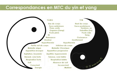 Illustration des concepts de Yin et Yang en MTC