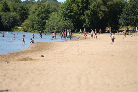 Vue panoramique des étangs d'Apigné en été