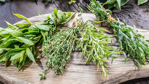 Plantes aromatiques séchées pour la fumigation