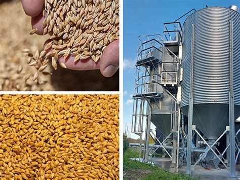 Illustration d'un bâtiment de stockage de céréales avec un système de ventilation visible.