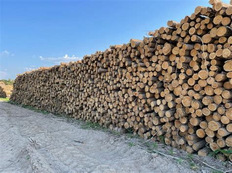 Pile de bois de chauffage bien rangée et séchant à l'extérieur