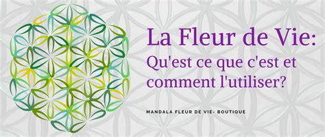 Représentation de la Fleur de Vie