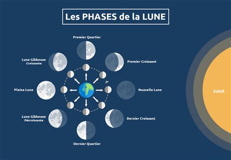 Infographie illustrant les quatre phases principales de la Lune
