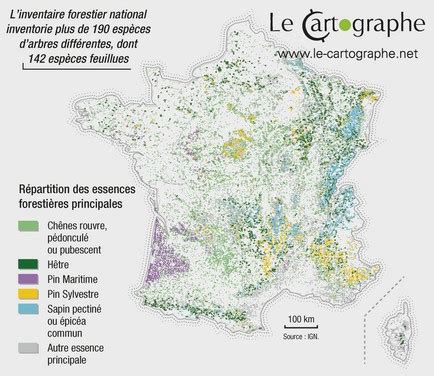 Carte des principales régions forestières en France