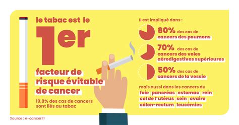 Schéma d'un cigare montrant la couche de tabac et le processus de combustion