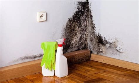 Maison avec des problèmes d'humidité sur les murs