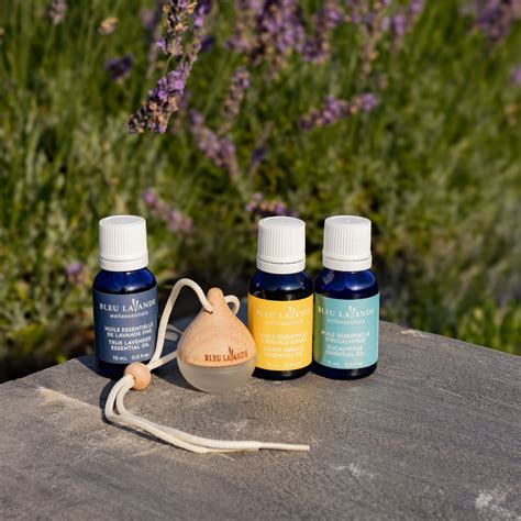 Une sélection d'huiles essentielles pures disposées près d'un brumisateur