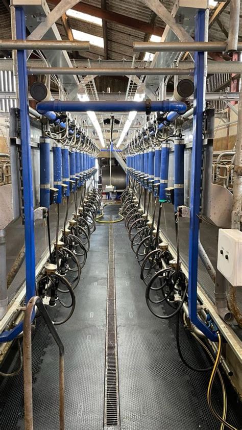 Salle de traite avec système de brumisation