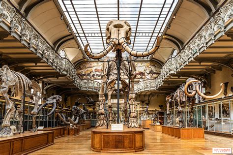 intérieur d'un musée d'histoire naturelle avec des enfants