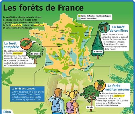 Carte des forêts françaises