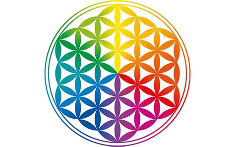 Illustration de la fleur de vie