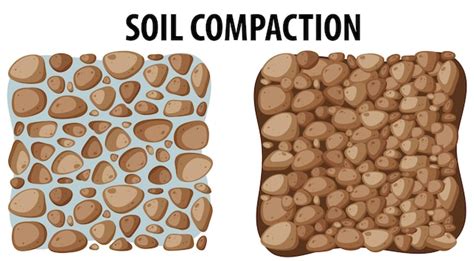 Diagramme montrant la compaction du sol dans un green de golf et les effets de l'aération