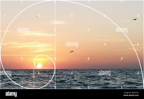 Illustration de la disposition en spirale d'un drain d'aération