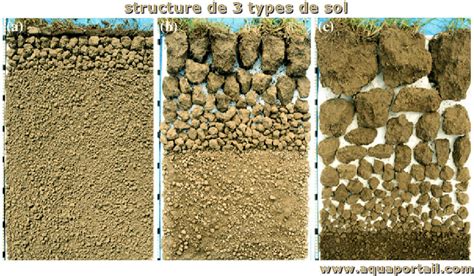 Schéma illustrant la structure d'un sol sain et d'un sol compacté