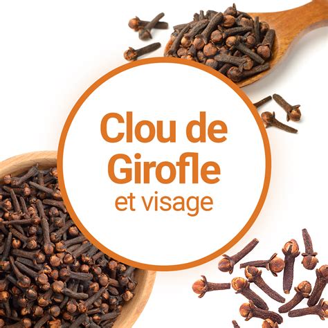 Schéma des différentes parties du clou de girofle et de leur composition chimique