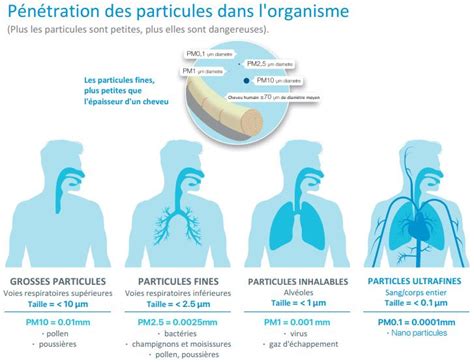 Illustration des différentes tailles de particules fines