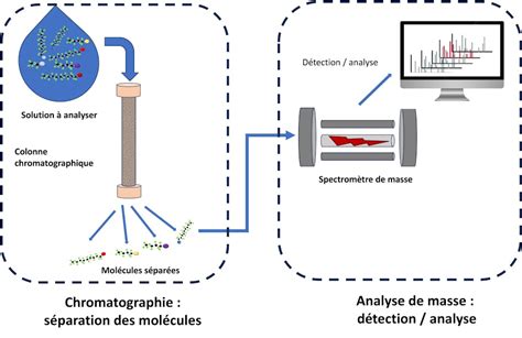 Schéma illustrant le principe de la chromatographie d'affinité