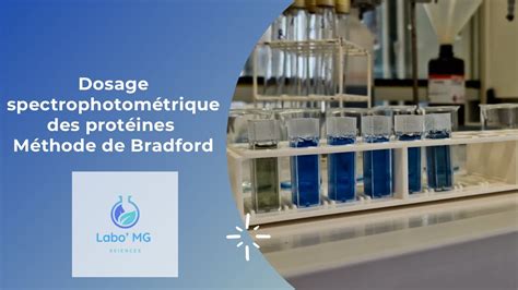 Principe de la méthode de Bradford pour la quantification des protéines