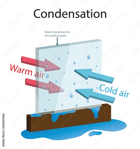 Illustration d'une maison avec des signes de condensation et de moisissure