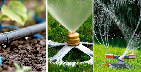 Illustration comparative des méthodes d'arrosage : arrosage classique vs. irrigation par Olla