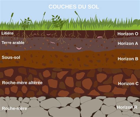 Diagramme comparant la structure d'un sol lourd non traité et d'un sol amélioré par un amendement organique