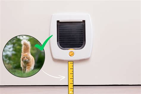 Illustration montrant le nettoyage d'une chatière de ventilation obstruée par des feuilles