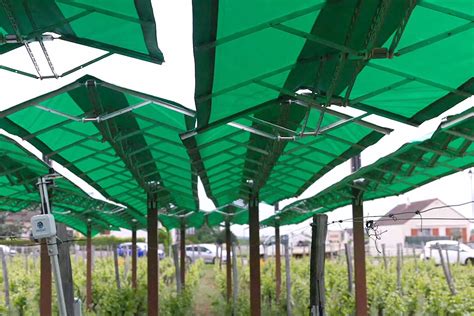 Système d'aspersion sur canopée pour la protection des cultures fruitières